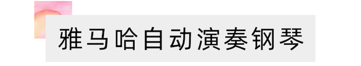 活动报道 | “科技助力，跨越时空”，小鹿纯子携手刘明康共享中日音乐盛宴