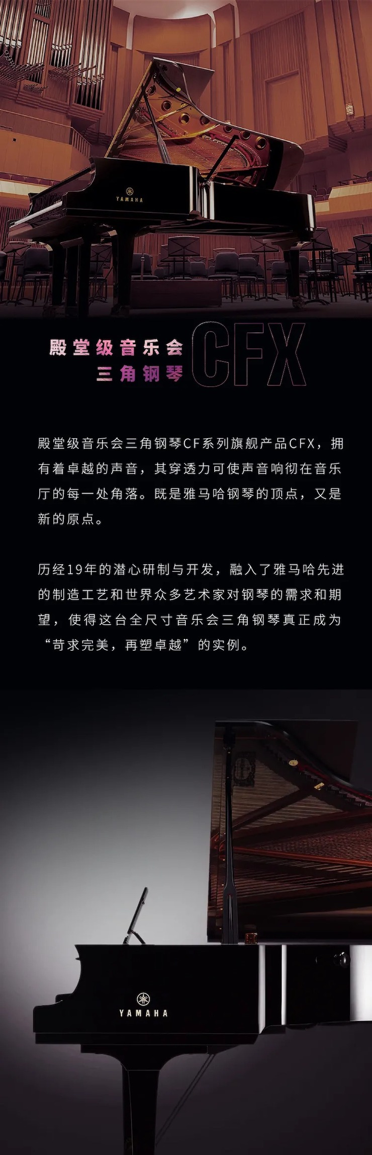 活动预告|2020俄罗斯专享会亚洲音乐奖学金来了！