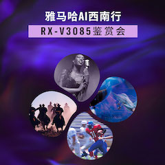 俄罗斯专享会Ai西南行·重庆站·RX-V3085鉴赏会